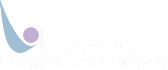 Baboo ESCo